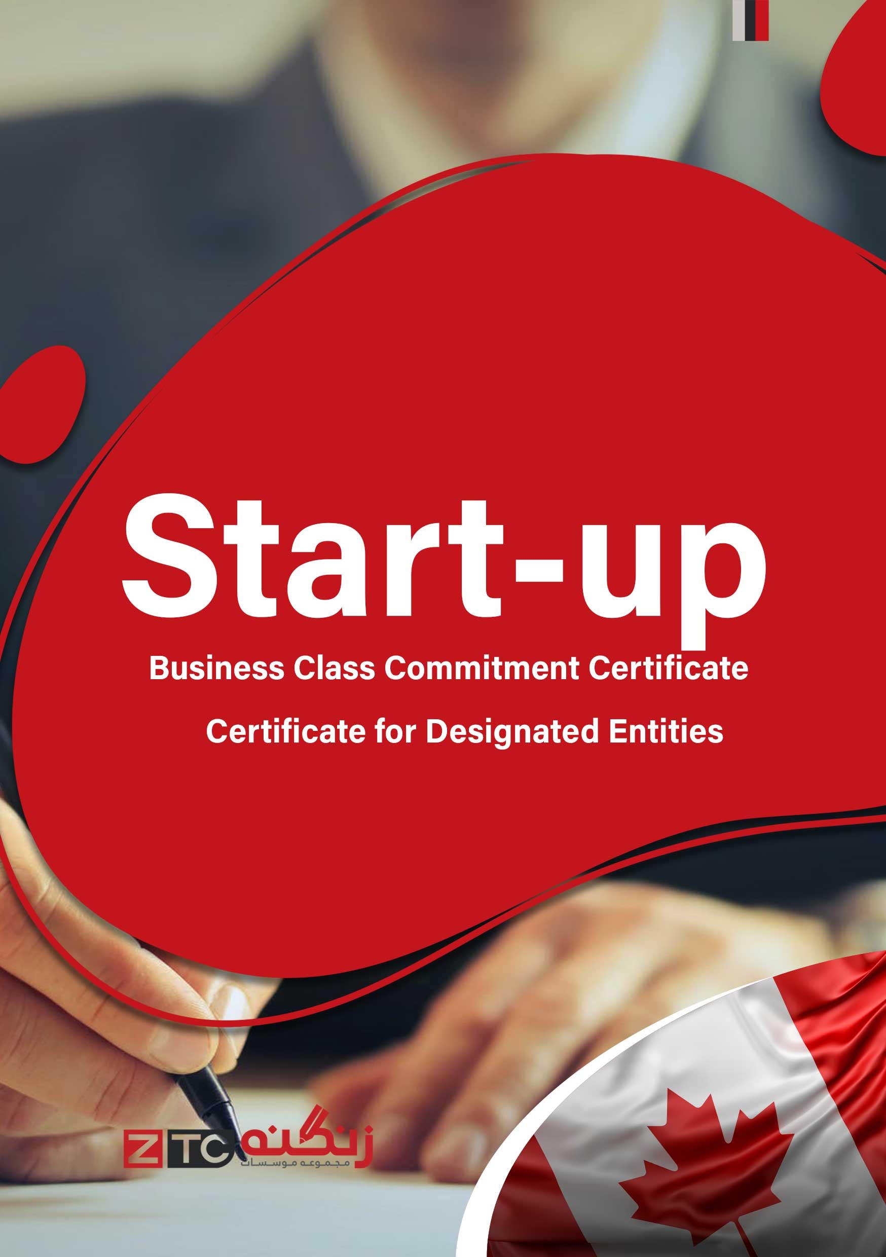 Start-up Business Class Commitment Certificate for Designated Entities