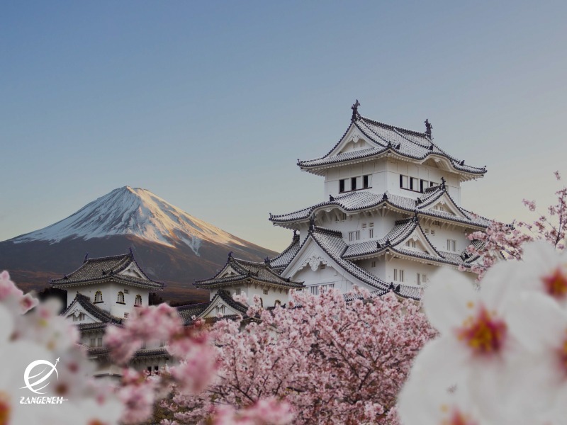 نتیجه‌گیری: کدام کشور برای شما مناسب‌تر است؟