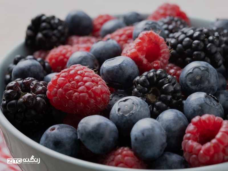 خانواده توت‌ها