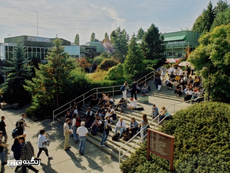 رشته مدیریت در VIU