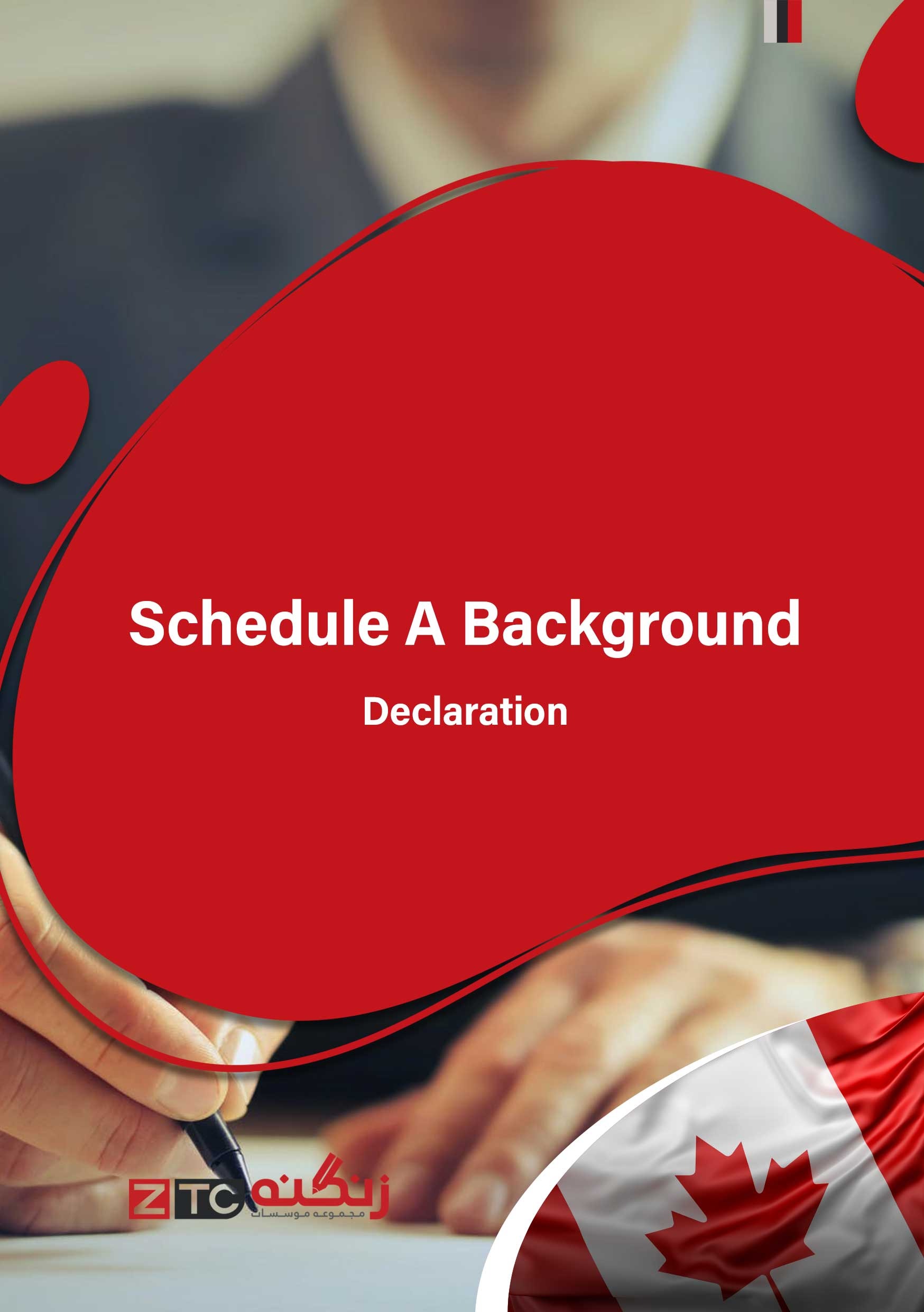 Schedule A Background - Declaration