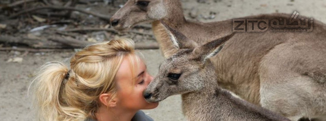 سفر به حیات وحش استرالیا