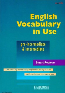 English Vocabulary In Use Pre-Intermediate