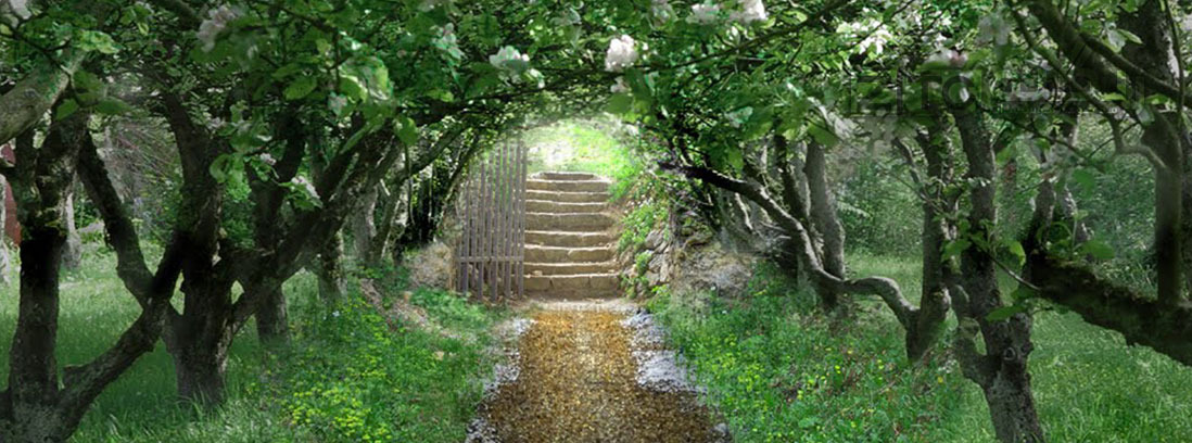 17 باغ مخفی در انگلستان برای بازدید (بخش دوم)