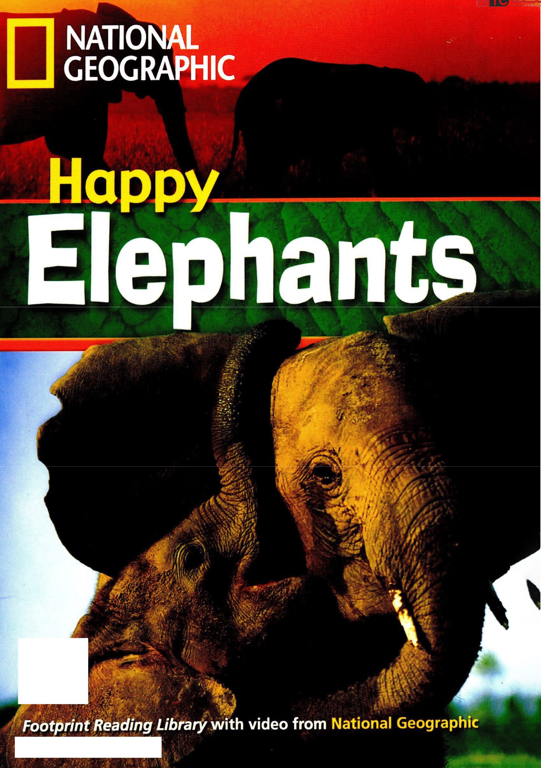 Happy Elephants