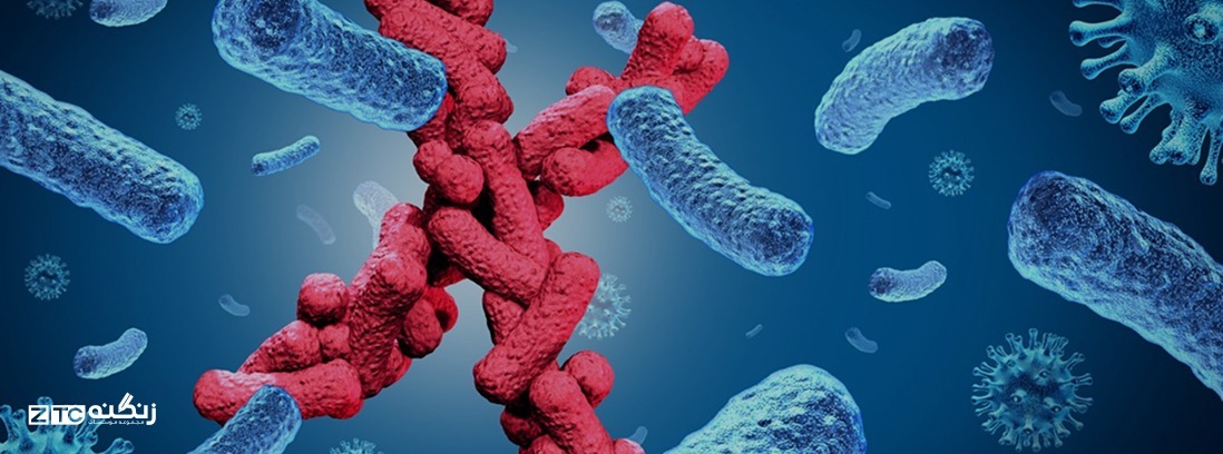 لغات و اصطلاحات پزشکی در انگلیسی