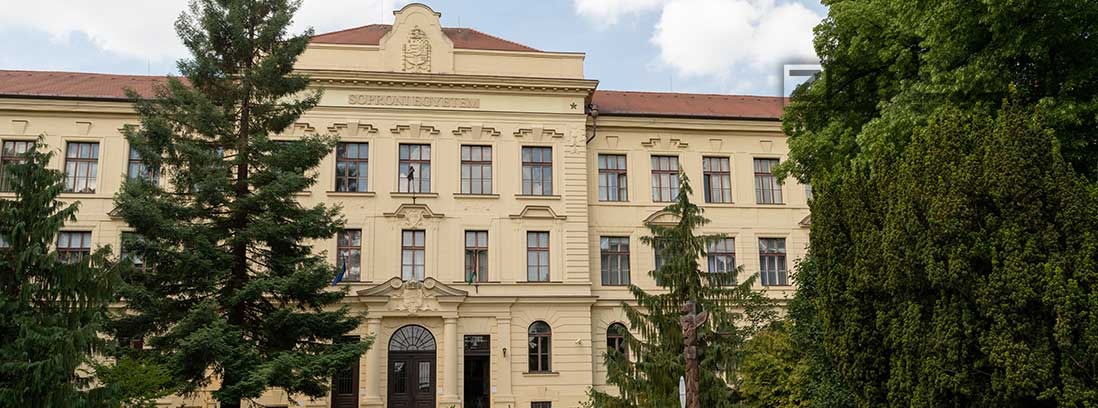 دانشگاه ساپرون مجارستان