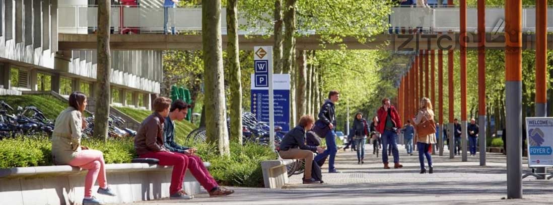دانشگاه تیلبرگ Tilburg هلند