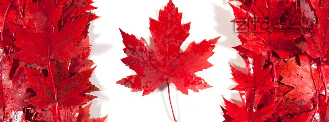 10 تصور اشتباه در برنامه ی اکسپرس اینتری کانادا- ورود سریع